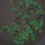 CUENTA PLÁSTICA PLANA 7MM ABECEDARIO.
BRILLAN EN LA OSCURIDAD.
X 500 GRS. - Imagen 2