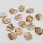 BOLSA COLGANTE CONCHA DE MAR 20*18MM X 500 GRS (28-6) - Imagen 2