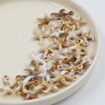 BOLSA DIJE ESTRELLA DE MAR X 500 GRS (28-2) (MAX 117)