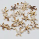 BOLSA DIJE ESTRELLA DE MAR X 500 GRS (28-2) (MAX 117) - Imagen 2