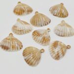 BOLSA DIJE CONCHAS DE MAR
26 MM X 500 GRS (28-3) - Imagen 2