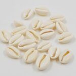 BOLSA BUZIOS PARTIDOS PEQUEÑOS
(MEDIDAS APROXIMADAS 1,2CM Y 1,6CM C/U).
X 1 KG. - Imagen 2