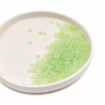 BOLSA X 500 GRS DONA PASANTE VERDE 
3*5MM  (21-20)