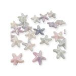 BOLSA ESTRELLA DE MAR ACRÍLICO TORNASOL X 500 GRS. - Imagen 2