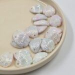 BOLSA CONCHITA DE MAR TORNASOL X 500 GRS.