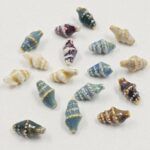 DIJE DE CERAMICA CARACOL 18*6MM.
X TIRA 16 UNIDADES SURTIDAS.
EMA 10-10 - Imagen 2