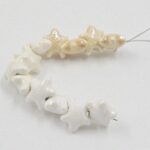 DIJE DE CERAMICA ESTRELA DE MAR 12MM.
X TIRA 12 UNIDADES SURTIDAS.
EMA 10-6