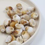 BOLSA CARACOL PASANTE 20*10MM X 500 GRS (EMC 19-1)