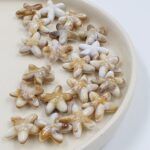 BOLSA ESTRELLA DE MAR PASANTE 18*18MM X 500GRS (EMC 19-6)