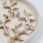 BOLSA ALGAS COLGANTES 60*35MM X 500GRS (EMC 19-8)