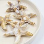 BOLSA ESTRELLA DE MAR COLGANTES 50*50MM X 500GRS (EMC 19-9)